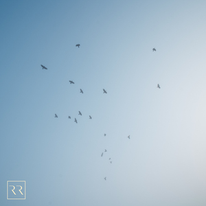 电击体罚少年by笔趣阁
