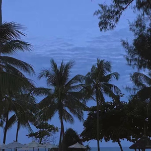 电击体罚少年by笔趣阁
