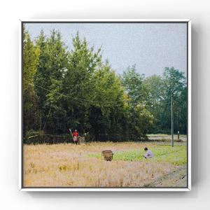 电击体罚少年by笔趣阁
